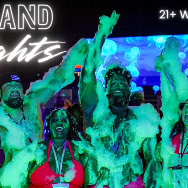 Image 1 of Event: Island Nights 21+ Water Park Party