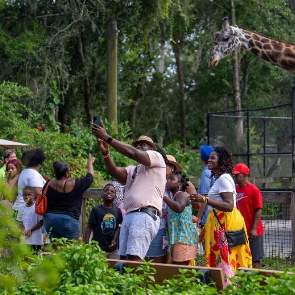 Image 1 of Event: Central Florida Zoo celebrates Black & African American Heritage during July’s Sunset at the Zoo