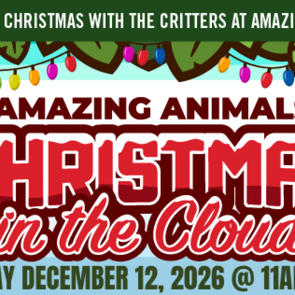 Image 1 of Event: Christmas in the Cloud