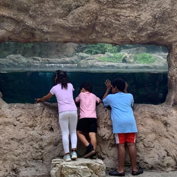 Image 1 of Event: Free admission for kids at the Central Florida Zoo 