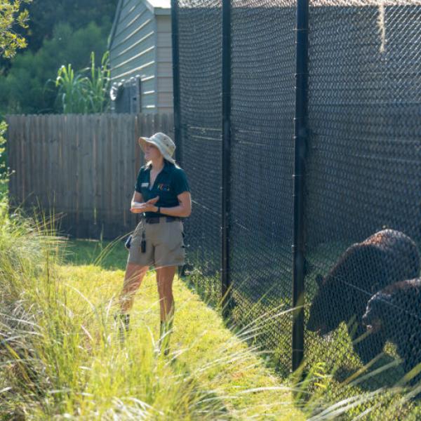 Image 1 of Event: Red, White & Indigo: Celebrating Wild America