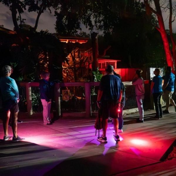 Image 1 of Event: Flashlight Safari at the Zoo: “Myths, Mysteries, and Monsters