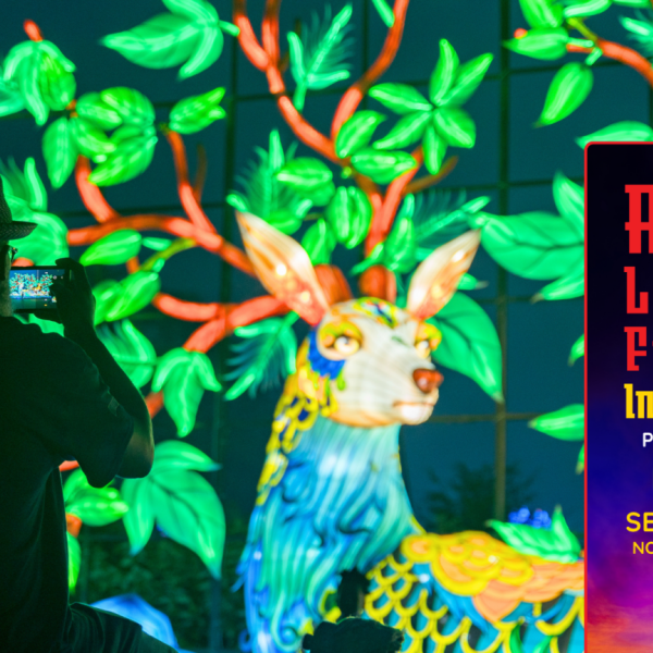 Image 1 of Event: Asian Lantern Festival: Into the Wild