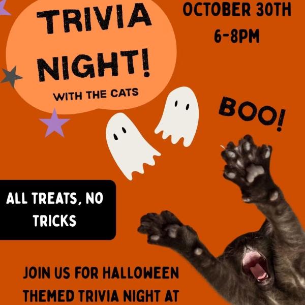 Image 1 of Event: Trivia Night with the Kitties