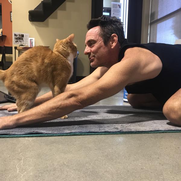 Image 1 of Event: Yoga with Kitties