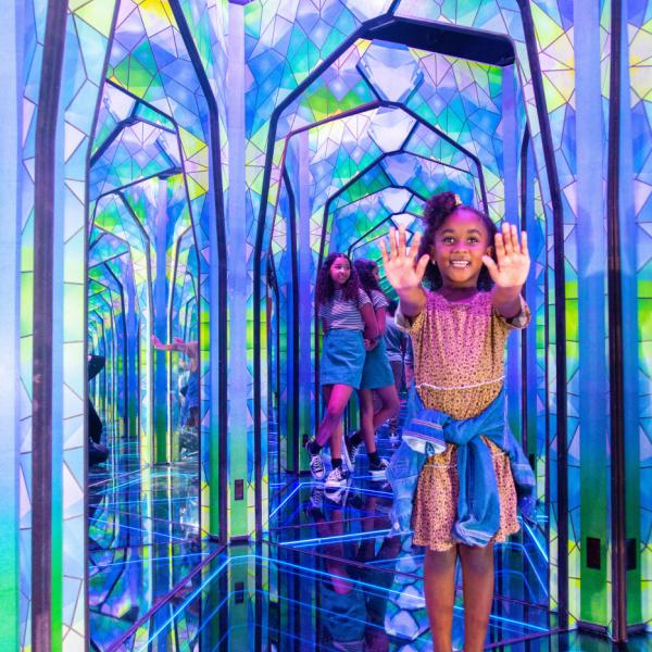 Mirror Maze