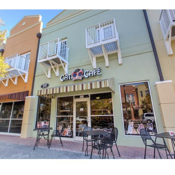 Orlando Cat Cafe - Exterior Picture